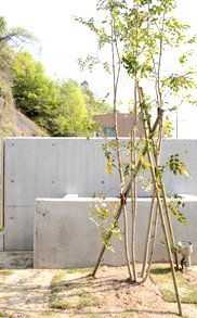 お庭の施工例 すっきりした洋風のシンプルモダン