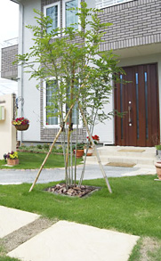 お庭の施工例　アジア風のアジアンモダン