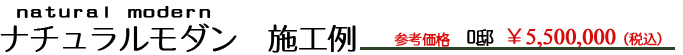 すっきりした洋風　シンプルモダン　お庭の施工例