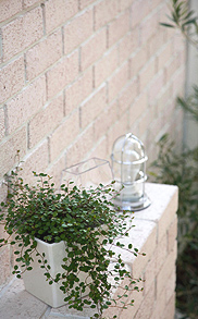 南欧風のコートダジュール