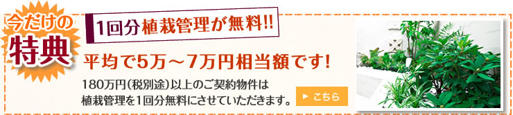 今だけ特典　　1回分　植栽管理が無料　　平均5万から7万相当額です。