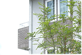 駐車場・門扉・外構