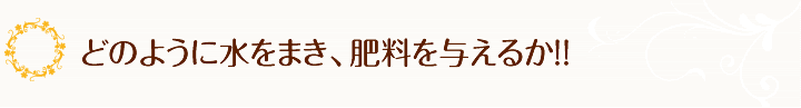 どのように水をまき、肥料を与えるか。