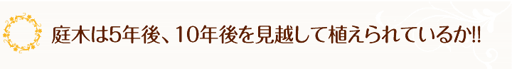 庭木は５年後、１０年後を見越して植えられているか