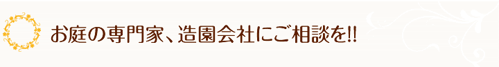 お庭の専門家、造園会社にご相談を