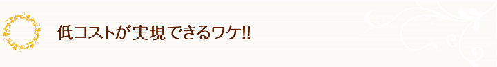 低コストが実現できるわけ。