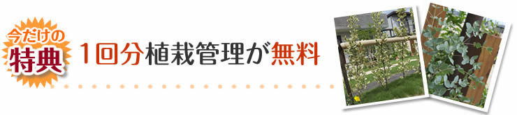 今だけ特典　　1回分植栽管理が無料