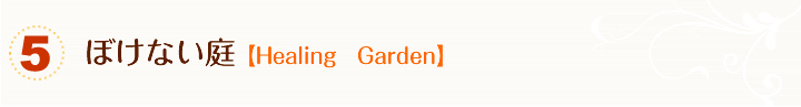 ぼけない庭　Hsaling　Garden